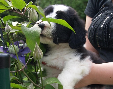 Lilli 7 Dienstag 117.jpg